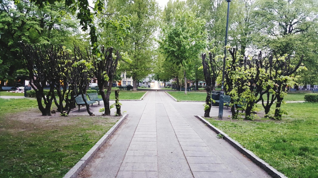 В Кочкурове создают современное общественное пространство в рамках нацпроекта