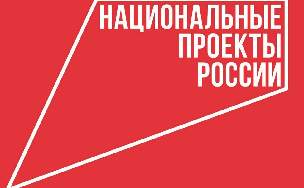 В Министерстве лесного, охотничьего хозяйства и природопользования Мордовии рассказали о реализации трёх региональных проектов за последние полгода