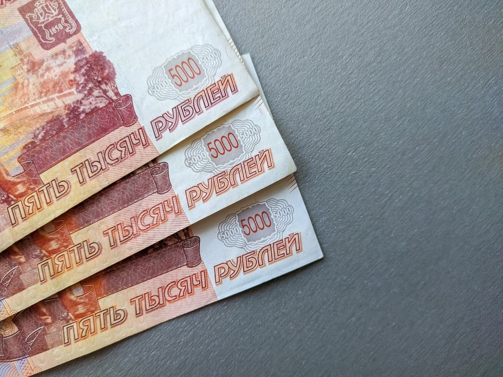 В Новосибирской области директор организации похитил почти миллион рублей, выписывая себе премии В Новосибирской области директор организации похитил почти миллион рублей, выписывая себе премии
