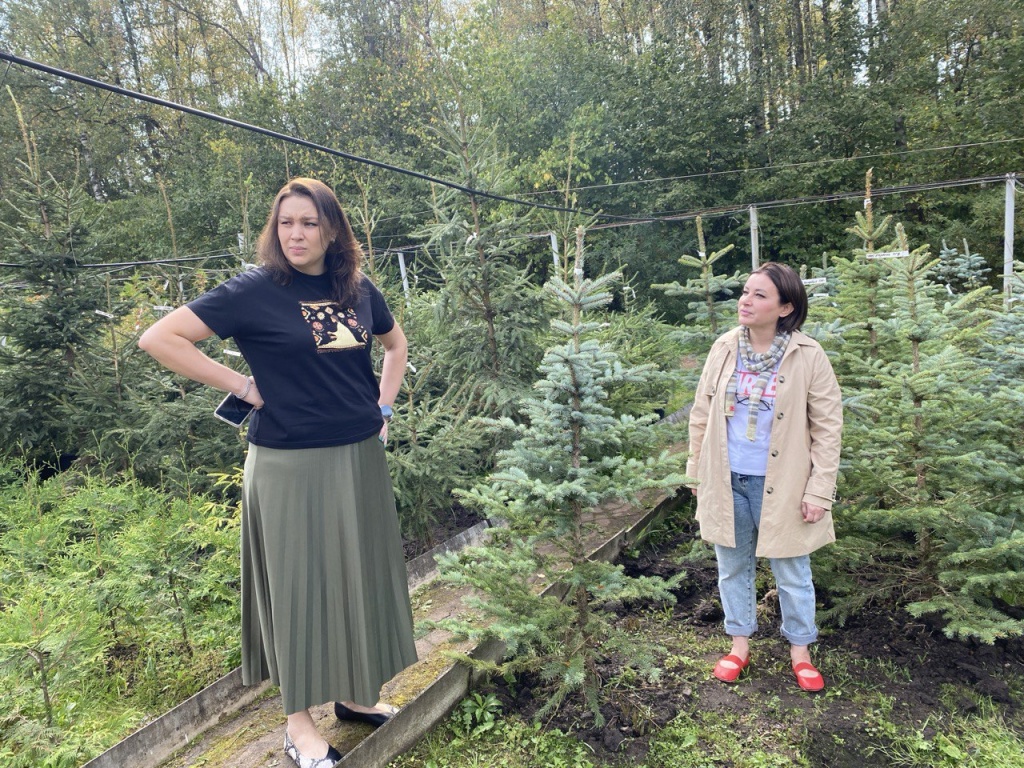 Уполномоченный главы Пушкинского выполнила наказ жителей Ивантеевки: во дворе на Фабричном проезде высадят голубые ели и гортензии