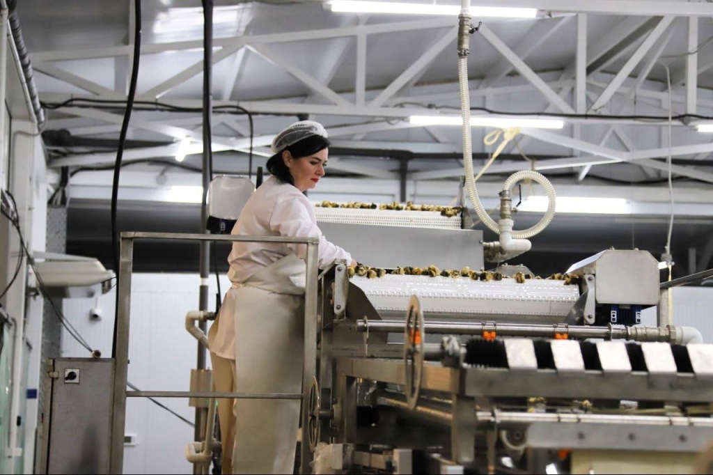 Пять кубанских предприятий получат льготные займы на общую сумму около 600 млн рублей