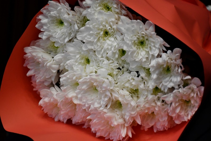 Торжество музыки и традиций: Ивановской филармонии - 90 лет