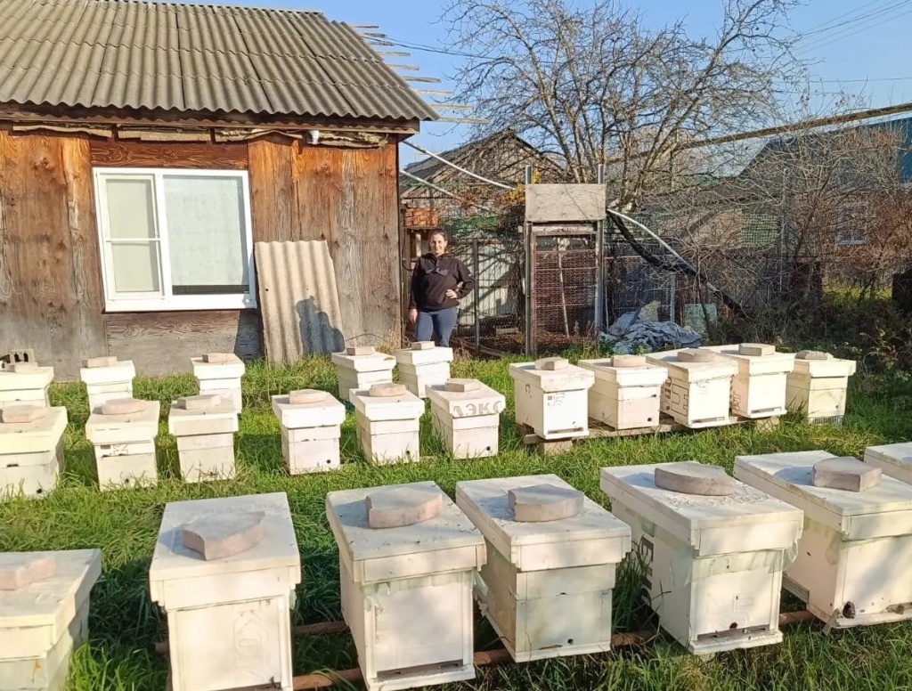 В Краснодарском крае малый и средний бизнес формирует почти треть региональной экономики