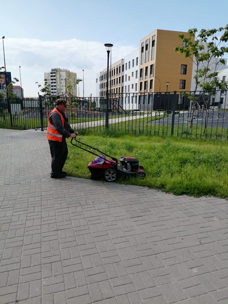 В Воронеже продолжается работа по восстановлению и обустройству газонов