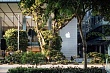 Смарт‑очки Apple выйдут не раньше конца 2027 года — компания дорабатывает механизмы приватности